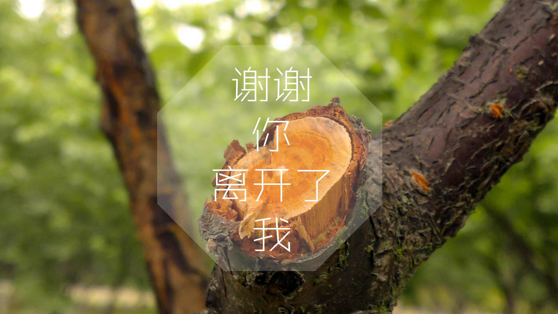 kaiyun官方入口登录-博尔特复出疑云四起，本人亲自回应：没计划参赛，博尔特现况