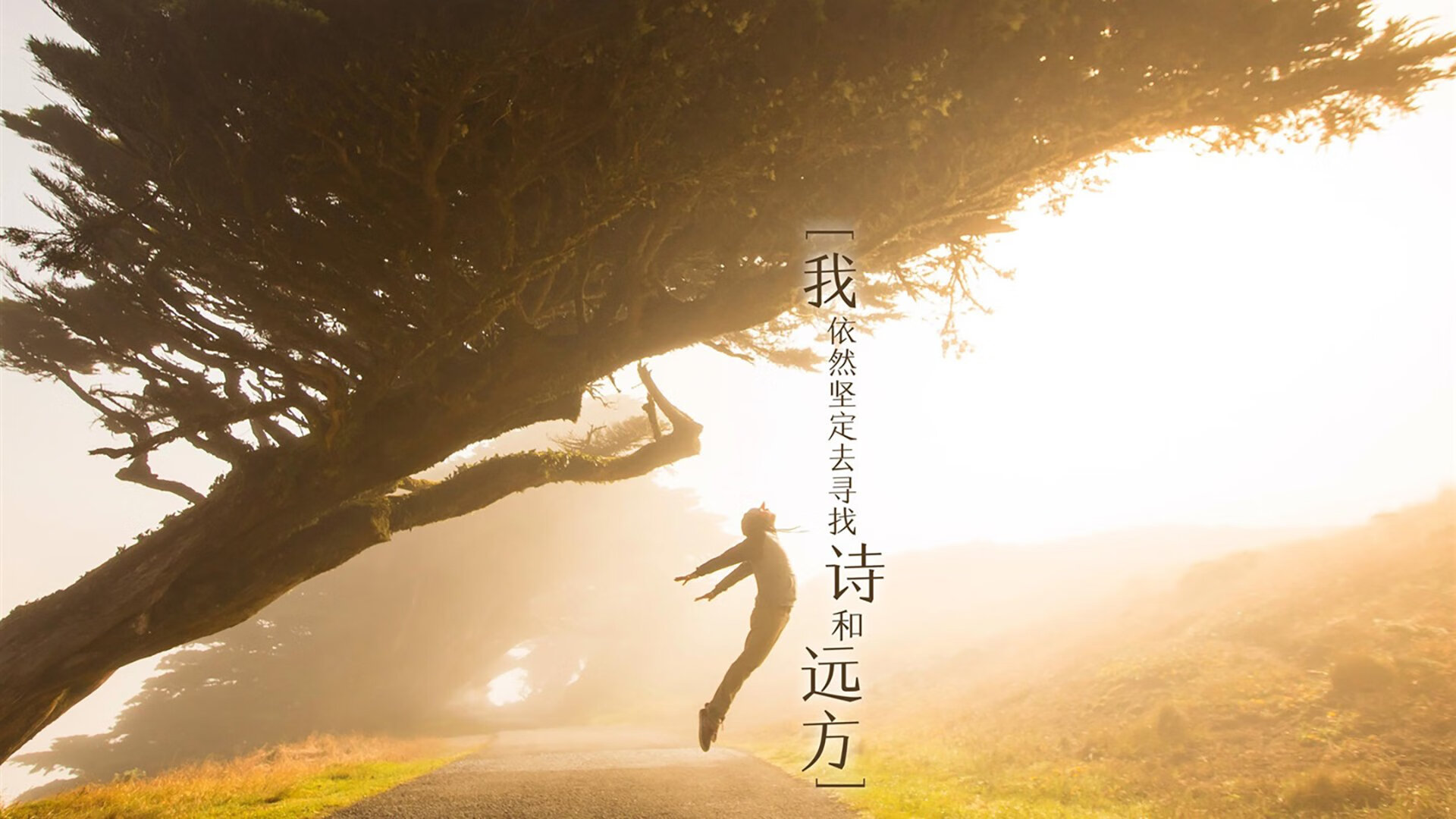 开云网页版登录入口-意大利男子4x100米自由泳接力队获得铜牌，里约奥运会男子自由泳接力赛