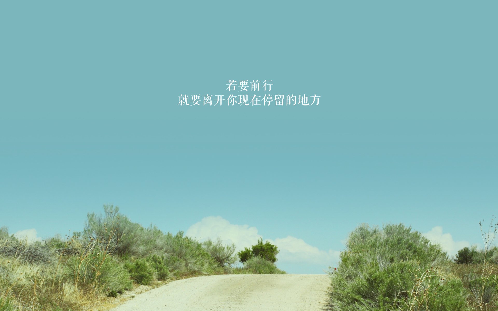 青少年裁判“实战+理论”双轨培训体系效果显著，行业标准不断提升