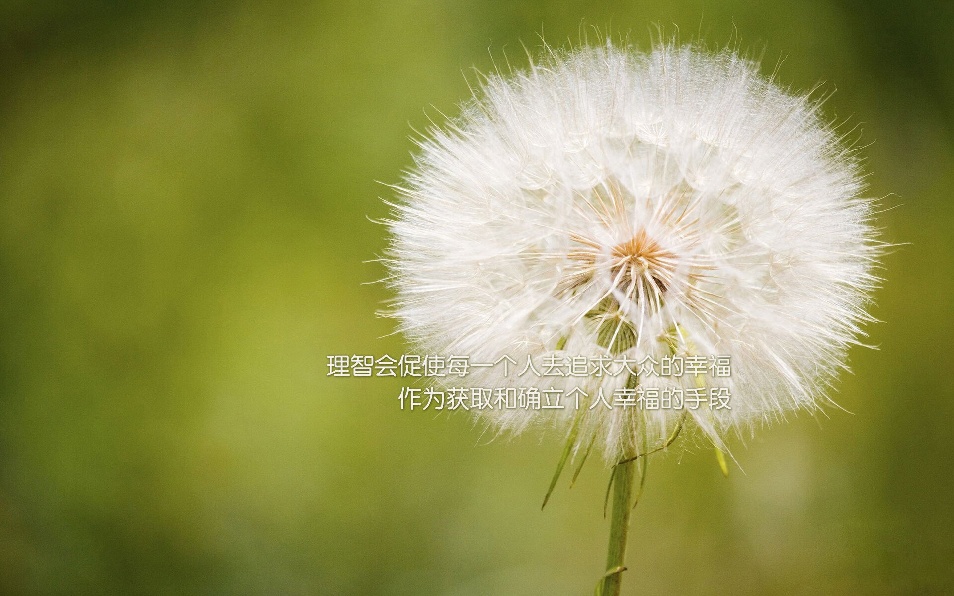 kaiyun.com-切尔西女足助力女子足球发展计划，切尔西女足10号是谁