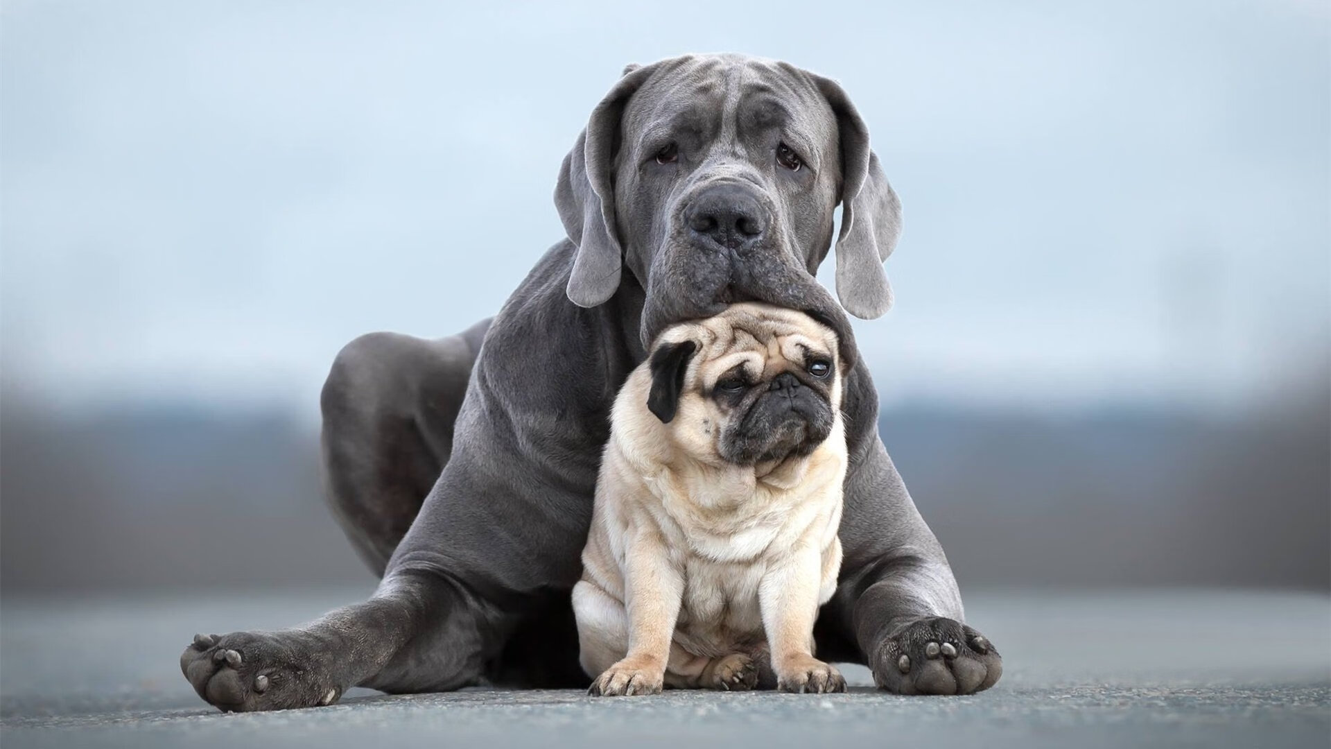 德甲球队基于GPS数据调整跑动策略提升比赛效率,德甲跑动距离排名