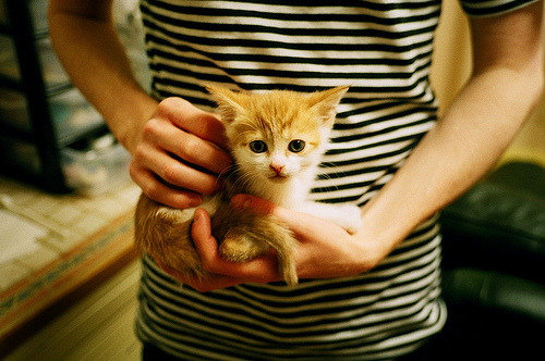 青年才俊成长:足球天赋的培养与发现,足球人才成长的教育模式有哪些