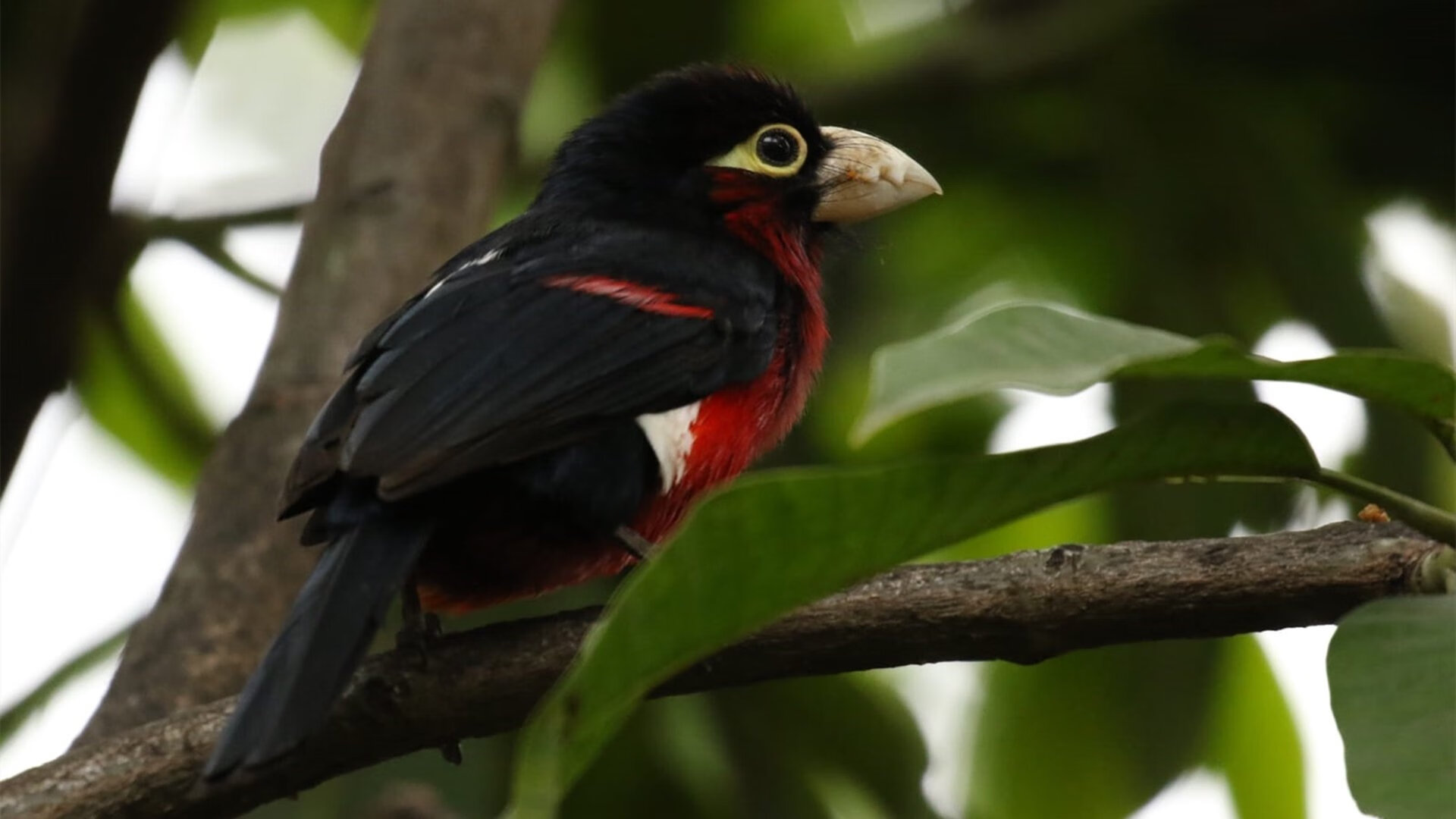 高校运动训练数据可视化分析技术研究，高校运动训练数据可视化分析技术研究报告