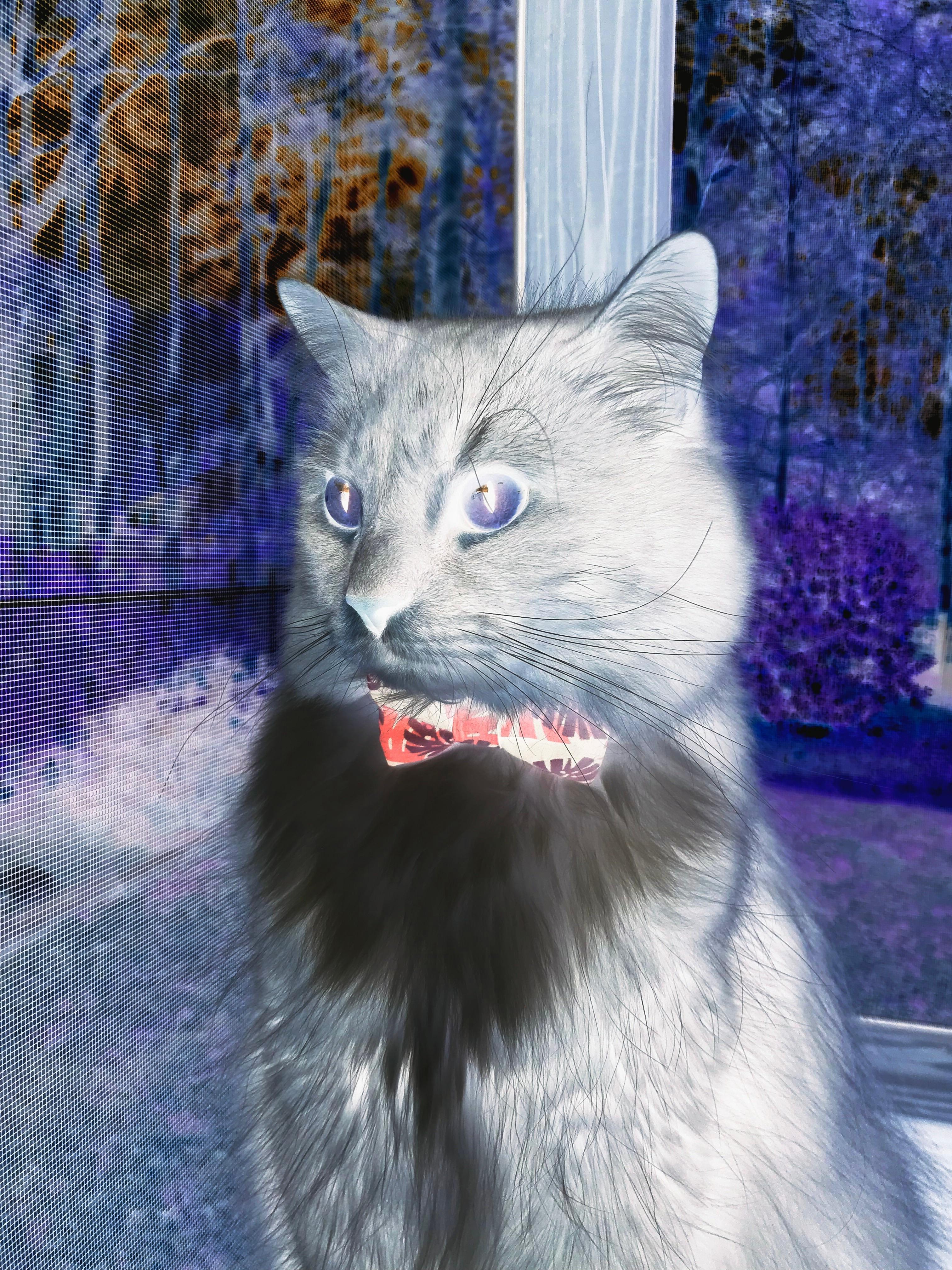 五大联赛比赛中是否更频繁出现攻防转换反打节奏，五大联赛有回避条款吗