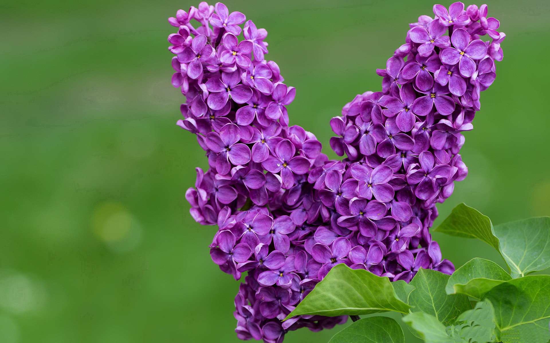 kaiyun登录入口-CBA季前赛火热开打新援表现亮眼引发球迷高度期待，cba季前赛什么时间开打