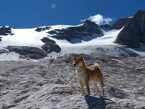 CBA季前赛火热开打新援表现亮眼引发球迷高度期待,cba季前赛什么时间开打