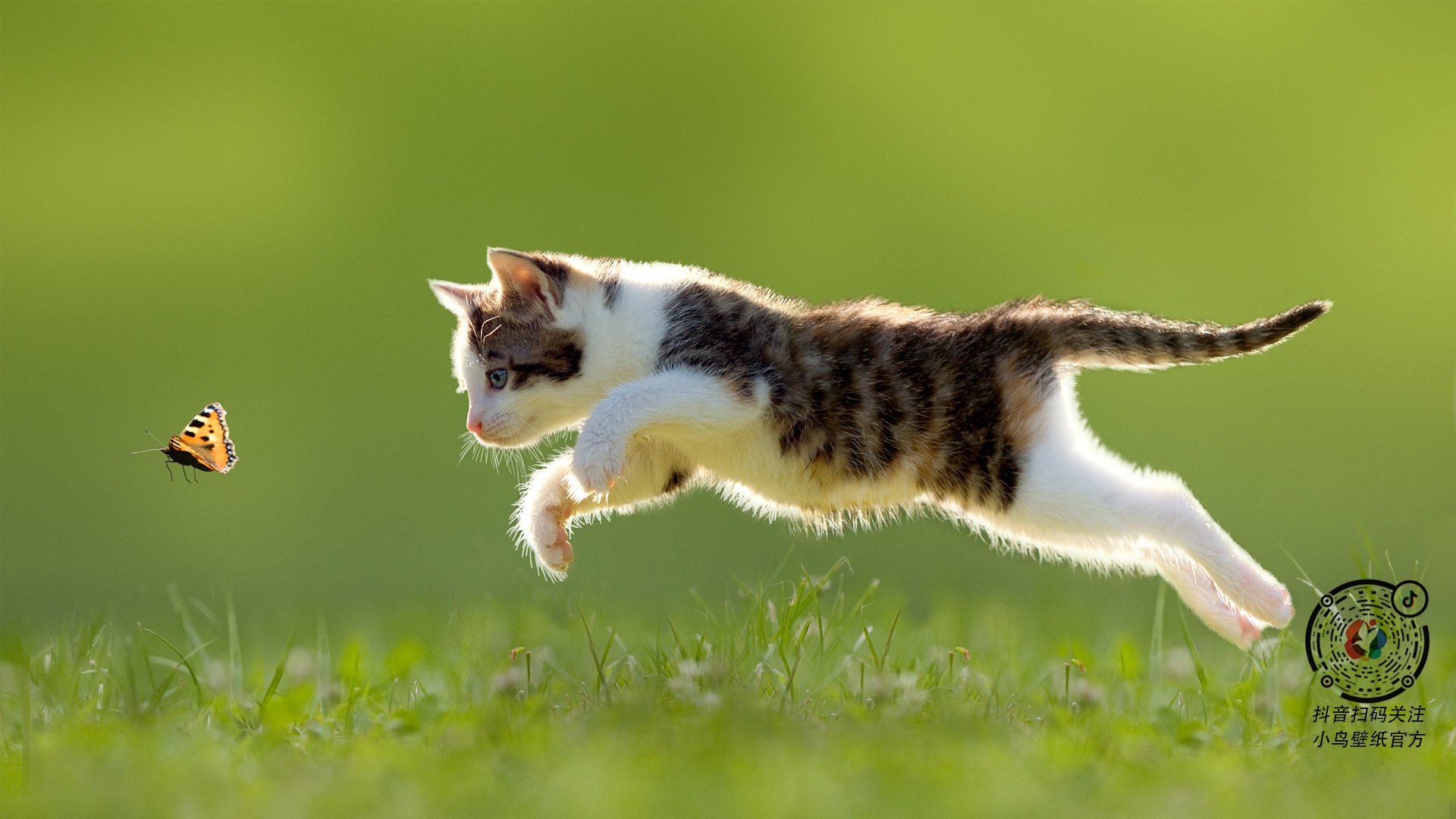 开云体育-体育场馆智能化管理案例分享，体育馆智能化方案