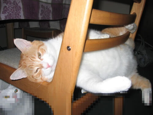 史密斯赛后谈心理调整与比赛感受，史密斯赛道