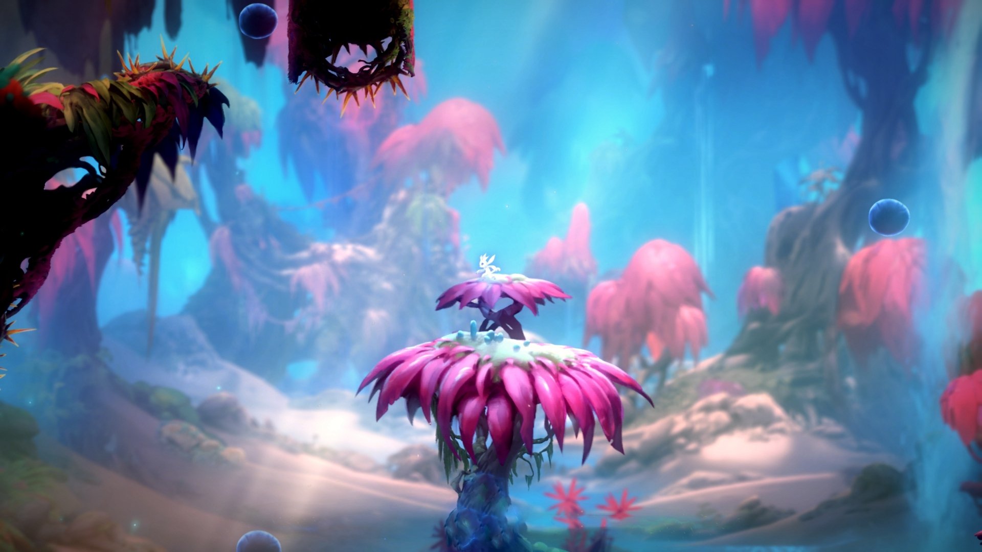 张雨霏赛前完成高强度心肺训练，张雨霏单日80分钟勇夺两金 与队友一起打破世界纪录