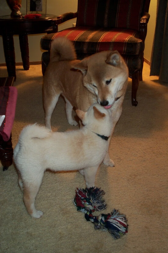 开云官方网页登录-英格兰男队青训项目引发全球投资热潮，英格兰 青训